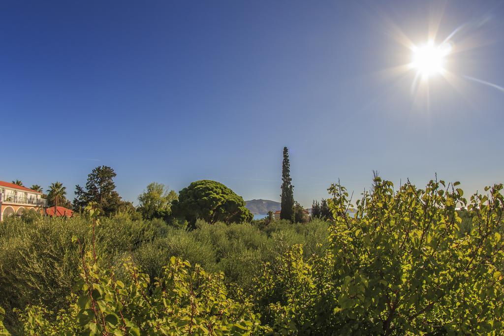 Olive Grove Apts Appartement Lithakia  Kamer foto