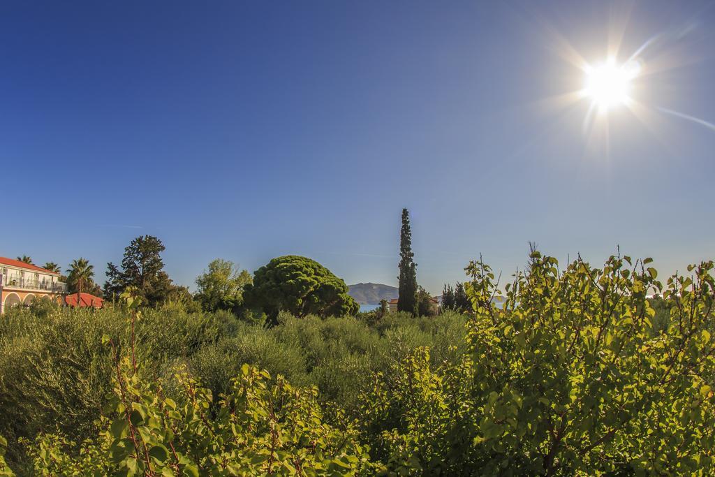 Olive Grove Apts Lithakia  Kamer foto