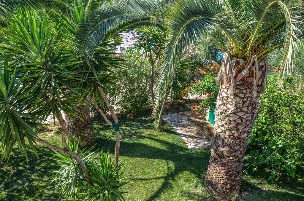 Olive Grove Apts Lithakia  Buitenkant foto