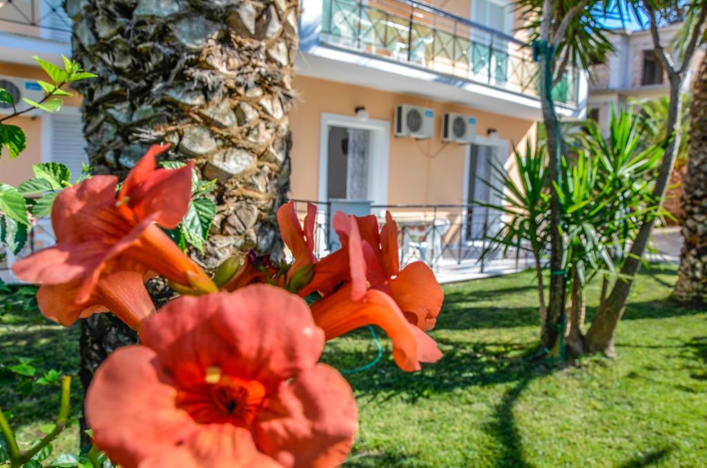 Olive Grove Apts Lithakia  Buitenkant foto